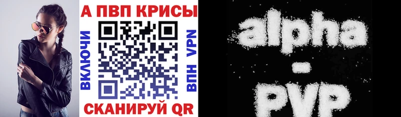 Альфа ПВП СК  mega ссылка  Волгореченск 