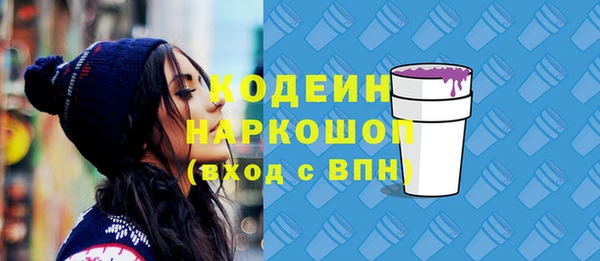 Альфа ПВП Бородино