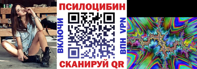 Псилоцибиновые грибы Psilocybine cubensis  Волгореченск 